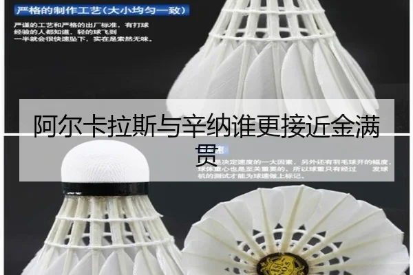 阿尔卡拉斯与辛纳谁更接近金满贯（xingkong.com）